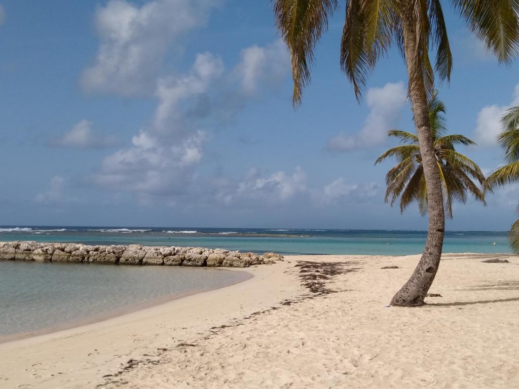 סנט-אן Appartements: Plage & Commerces A 200M מראה חיצוני תמונה